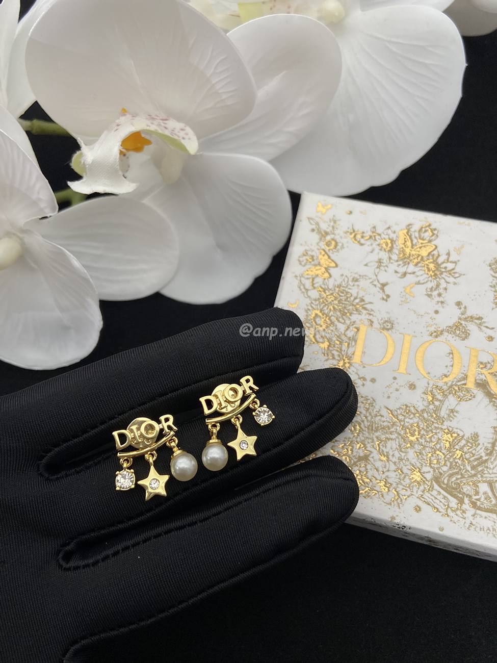 Dior Earrings (12) - www.newkick.org